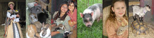 PettingZooBanner.jpg