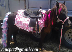 blackhorseinpink.jpg