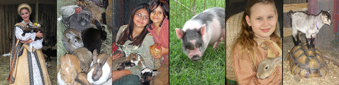 PettingZooBanner.jpg